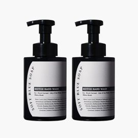 [MUMCHIT] BIOTOX Hand Wash 500ml x 2EA – Gentle Herbal Cleanser with BioDTox™, Coconut-Based Surfactants & Soothing Natural Moisturizers _ Made in KOREA